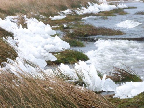 Icicles formed on the banks of Cwmystradllyn during the cold spell of March 2018.