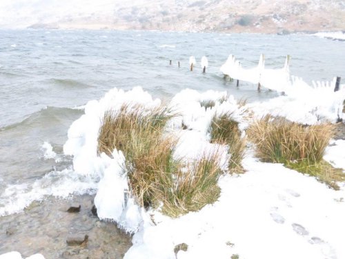 Frost on the banks of Cwmystradllyn.