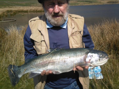 A 5lb 10oz Rainbow caught on a worm